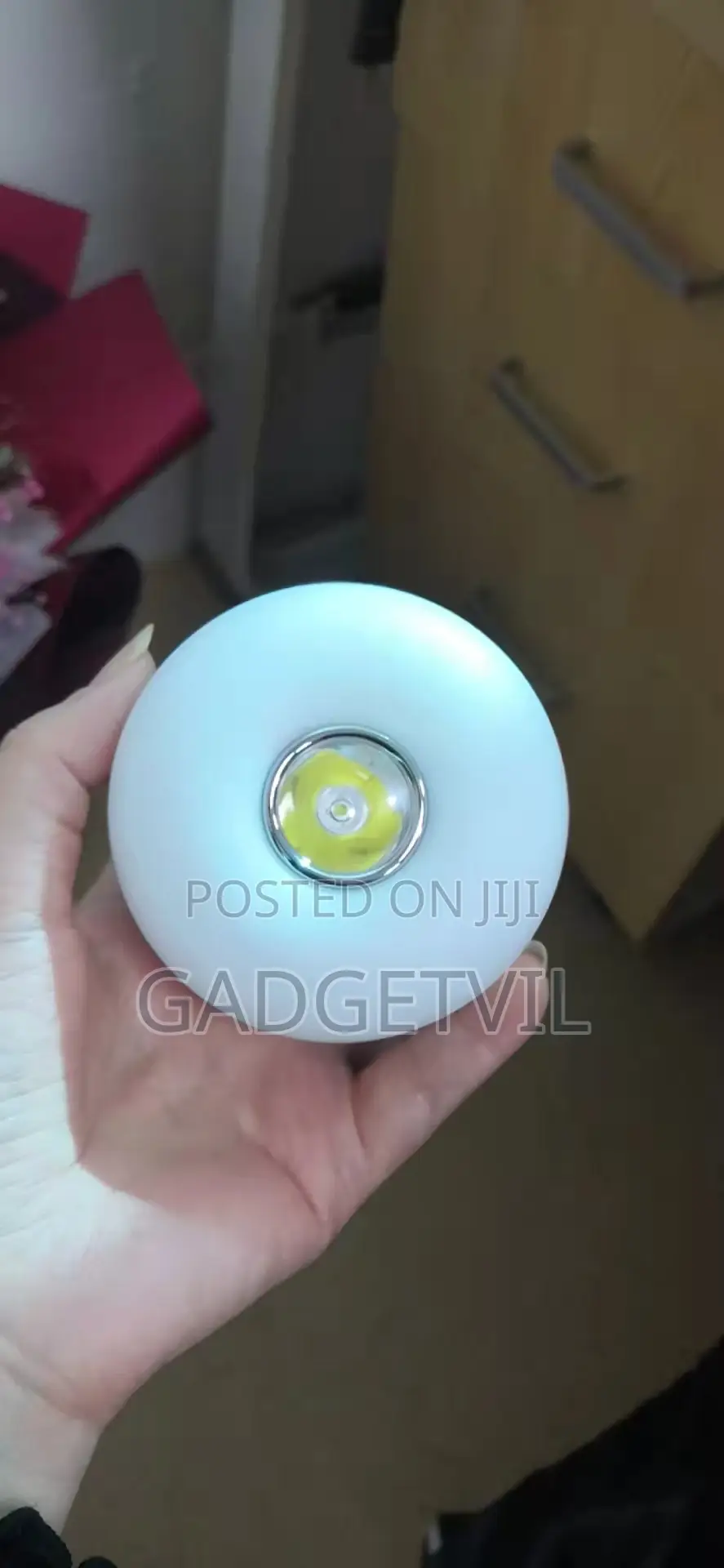 Outdoor/Indoor Camping Led Light