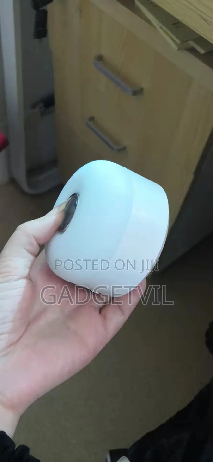 Outdoor/Indoor Camping Led Light