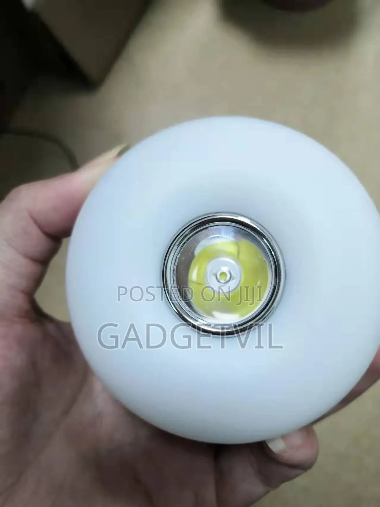 Outdoor/Indoor Camping Led Light
