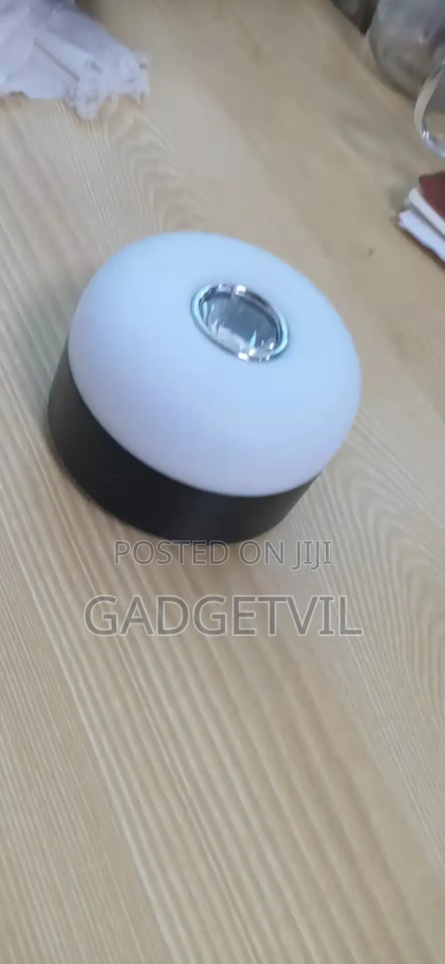 Outdoor/Indoor Camping Led Light