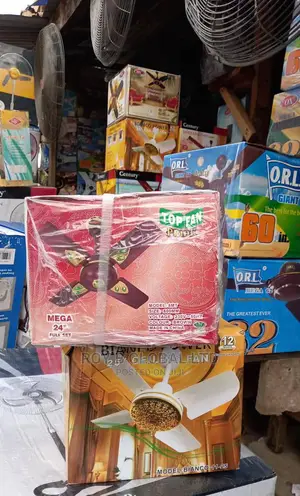 24" Ceiling Fan