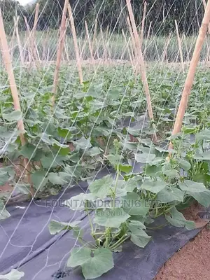 Drips Tape Irrigation System (Complete Set for an Acre)