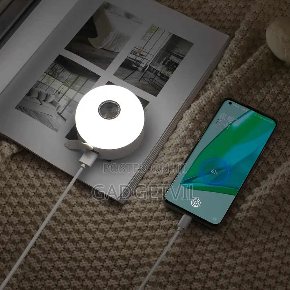 Outdoor/Indoor Camping Led Light
