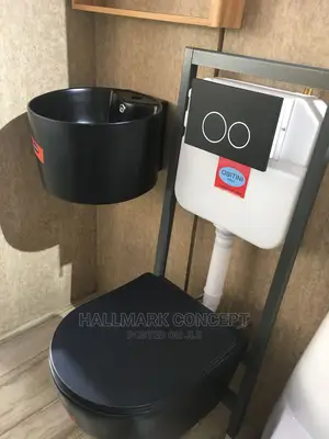 Executive Black Concealed Water Closets.