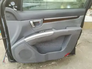 Santafe Door and Accessories for 08 and 2010 Model