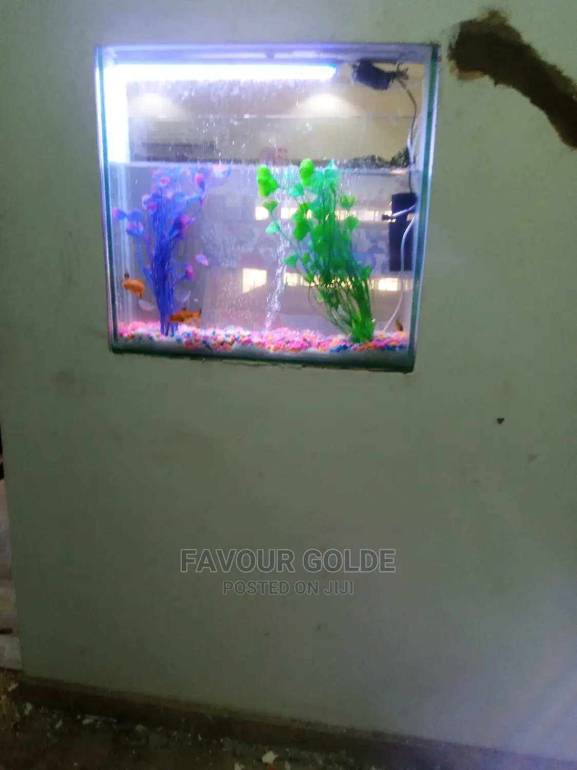 Wall Aquarium Design