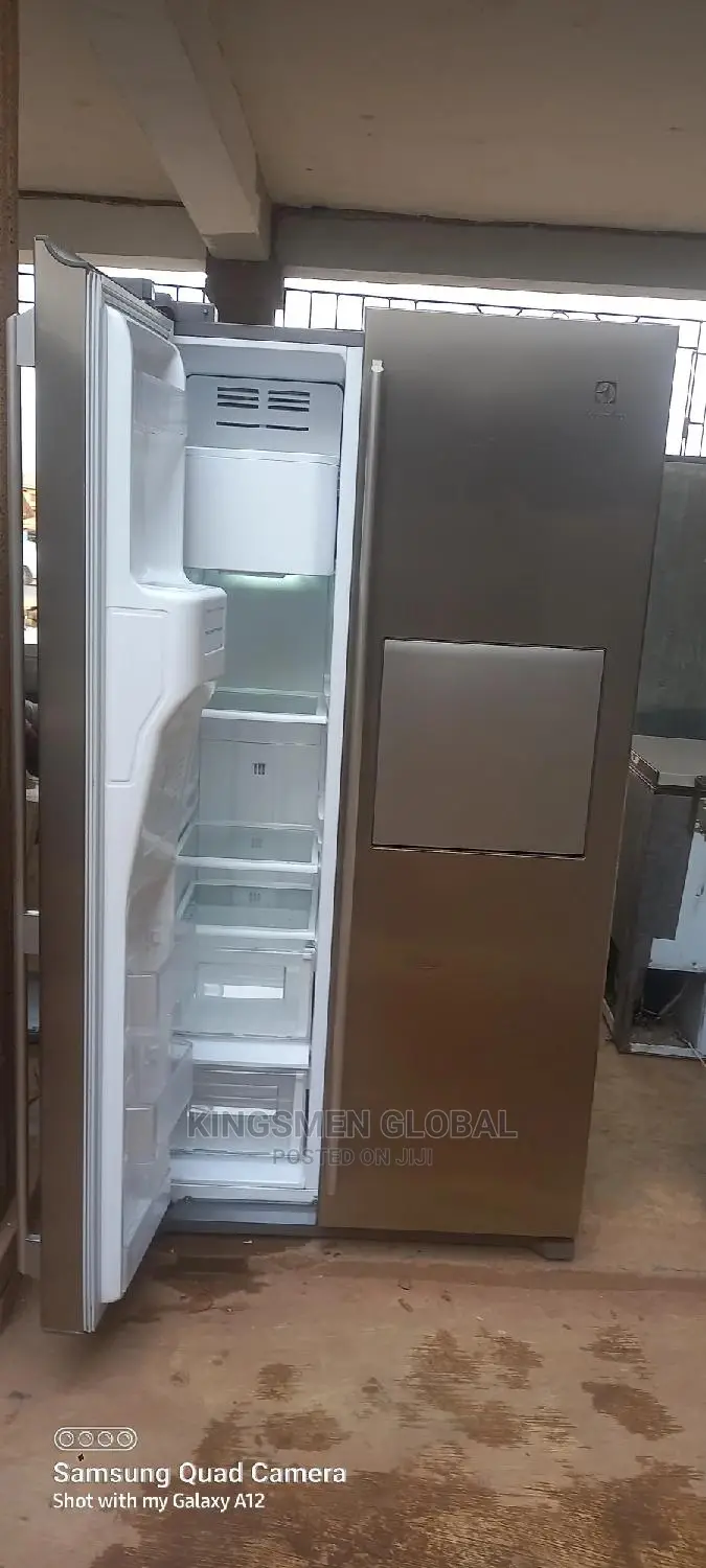 Samsung Electrolux Side-by-Side Refrigerator