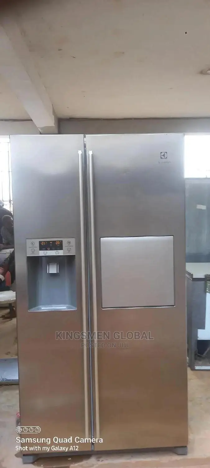 Samsung Electrolux Side-by-Side Refrigerator