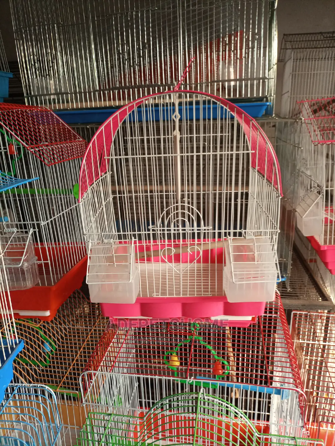 Beautiful Cage for Birds