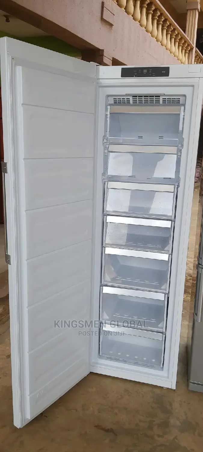 German Heavy Duty Standing Freezer