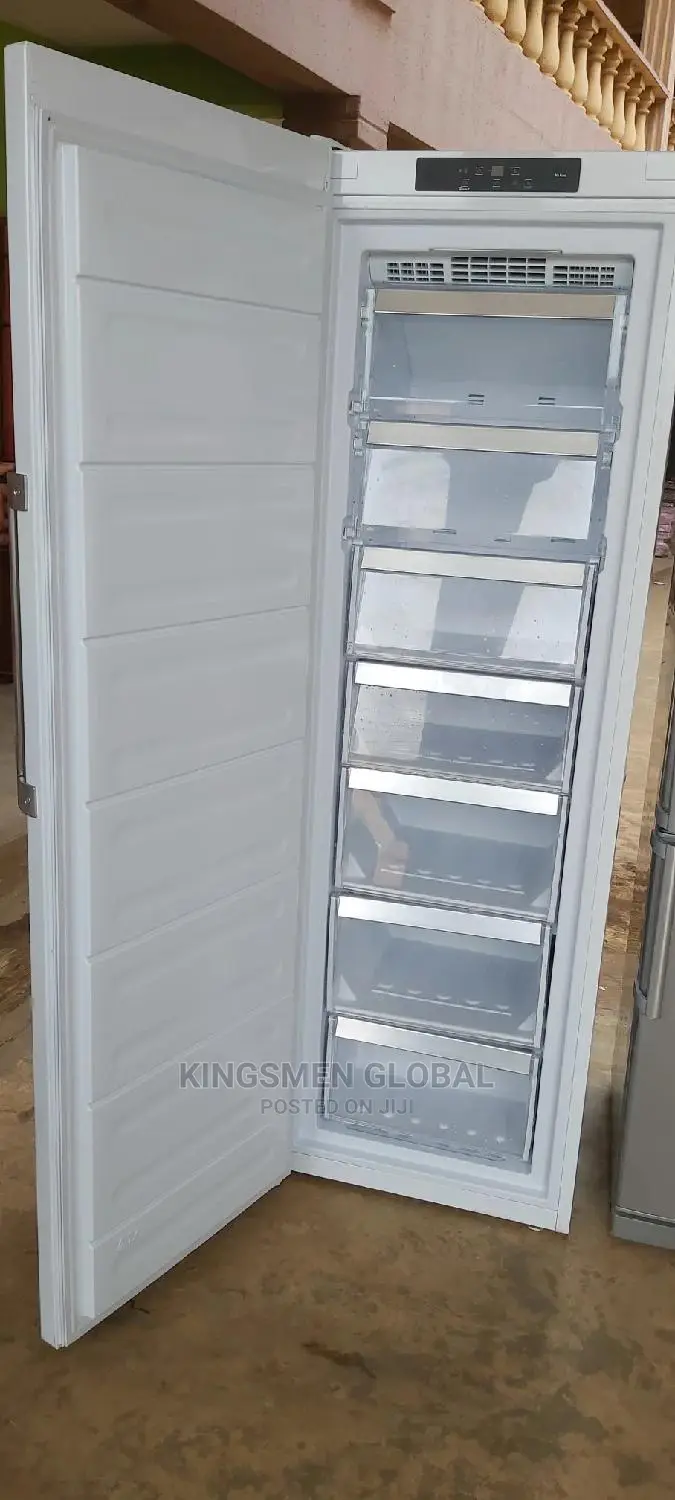German Heavy Duty Standing Freezer
