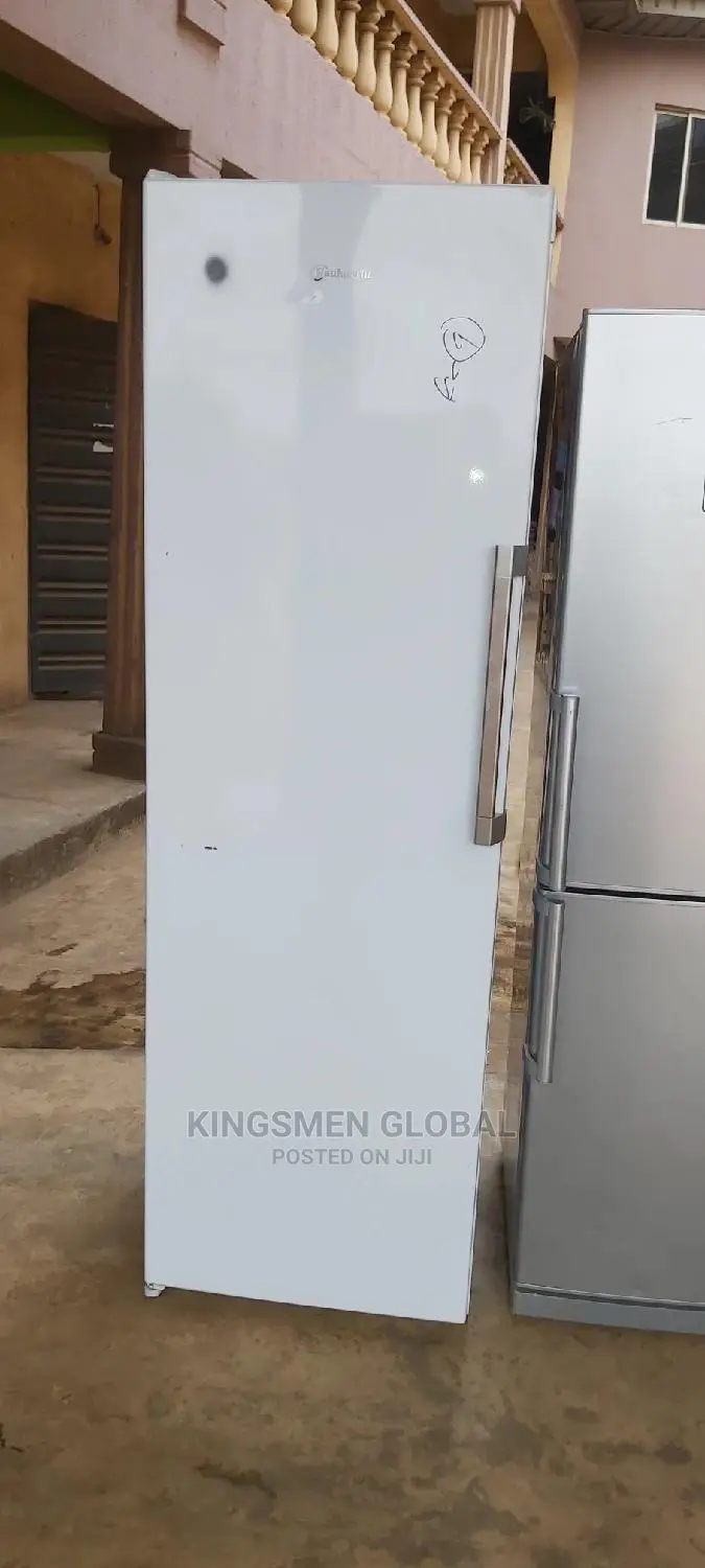 German Heavy Duty Standing Freezer