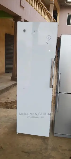 German Heavy Duty Standing Freezer