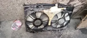 Honda Odyssey 2010 Complete Radiator
