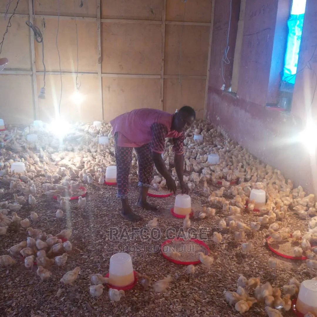 Rafco Healthy Poultry