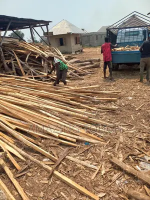 Carpenter Work, Roofing , Decking Parapet