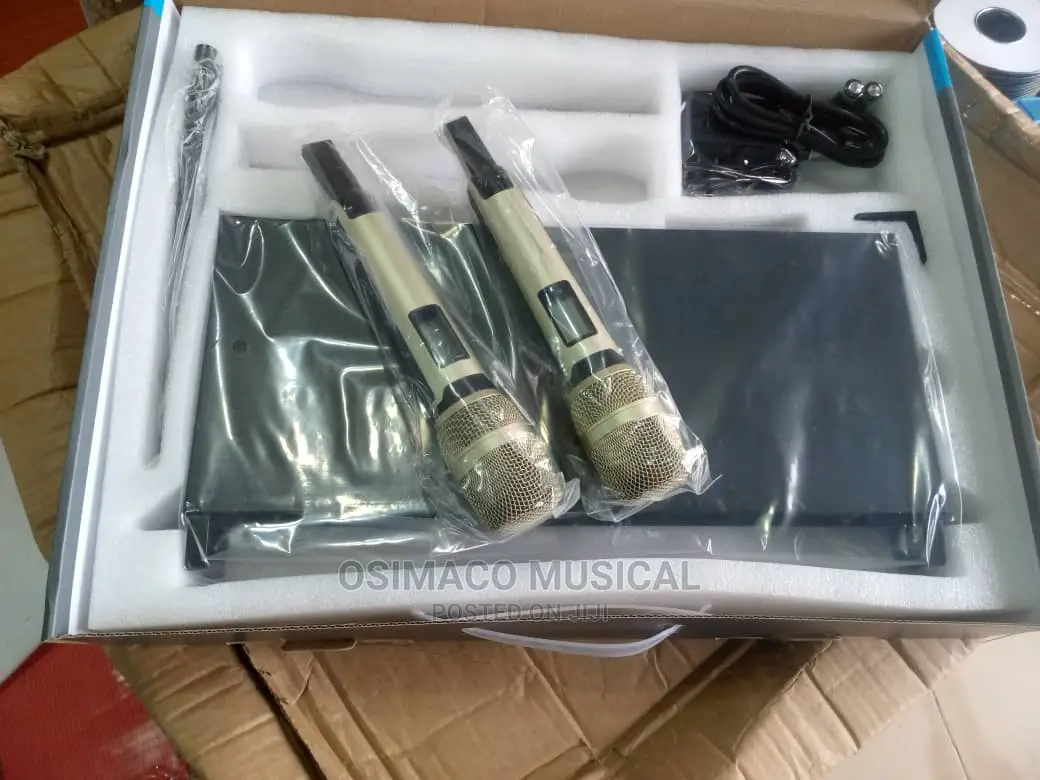 Double Wireless Microphone