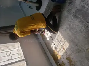 Carpet and Fabric Sofa Cleaning Services