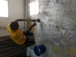 Couch, Sofa and Rug Cleaning