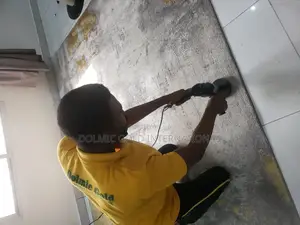 Couch, Sofa and Rug Cleaning