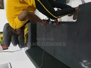 Couch, Sofa and Rug Cleaning