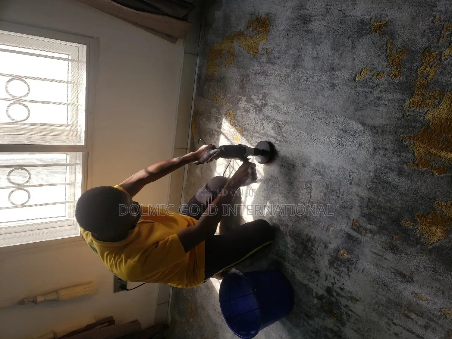 Upholstery Chair and Rug Cleaning
