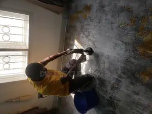 Upholstery Chair and Rug Cleaning
