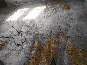 Rug And Sofa Cleaners