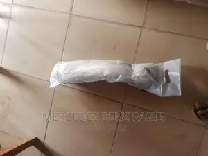 Arm Benz 2010