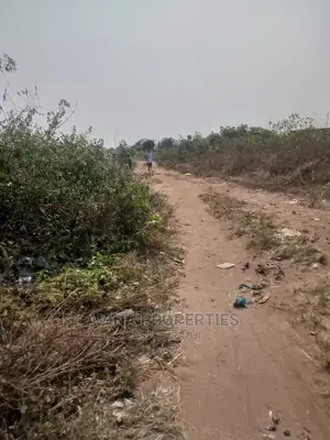 30 Plot's Of Land For Sale In Eziobodo