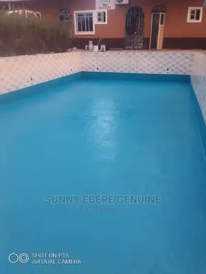 Cementitious and Polyurethane Swimming Pool Painting and Coa