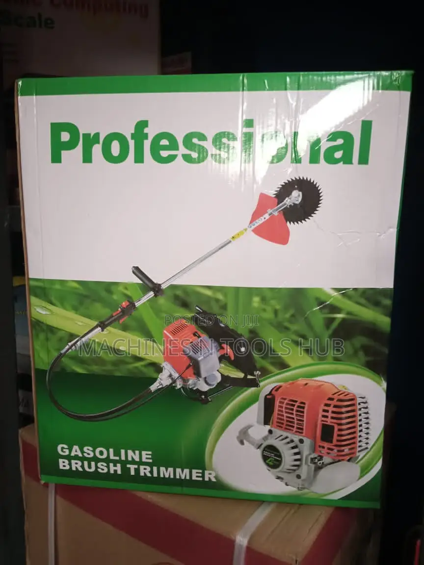 Brush Trimmer Engine