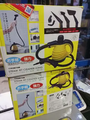 110V Steam Jet Cleaner