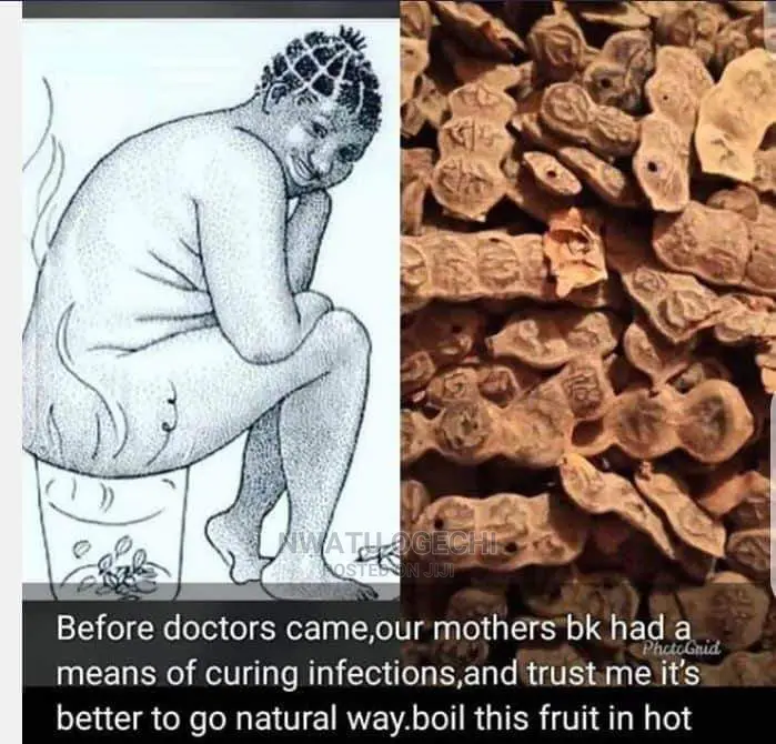 Your Gorontula (Silky Kola for Dry Vagina Is Available