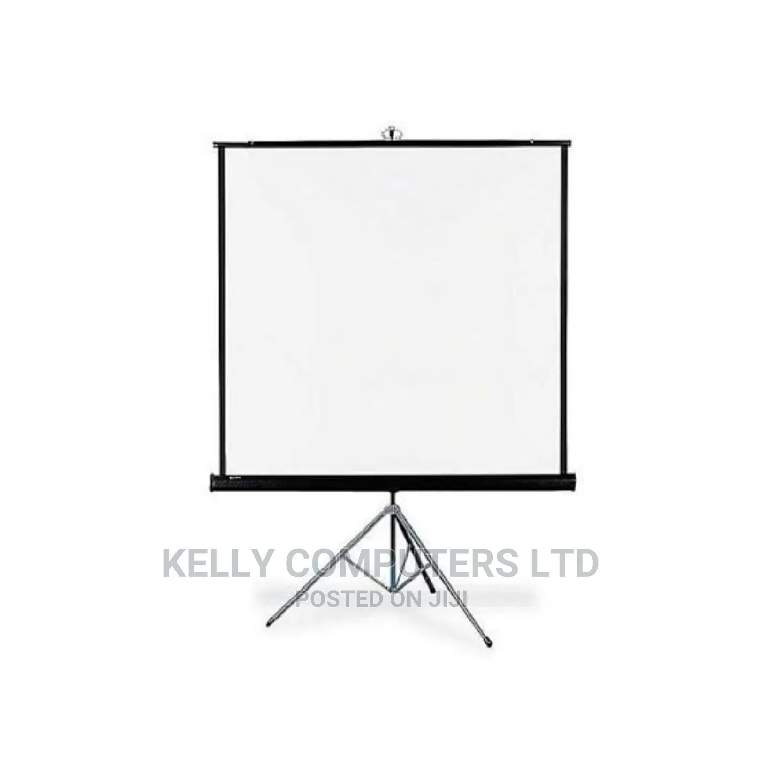 Projector Screen 72x72