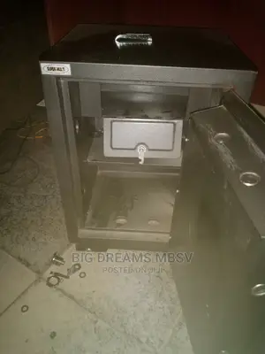 Repair of Lion Safe