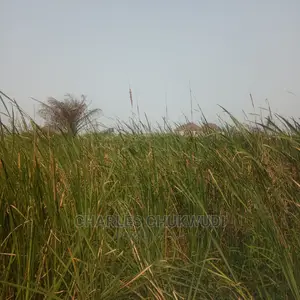 Plots of Land Beside Lekki Gardens Phase 2 Abraham Adasaya.