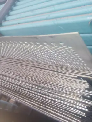 Stainless Steel Perforated