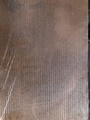 Stainless Steel Perforated