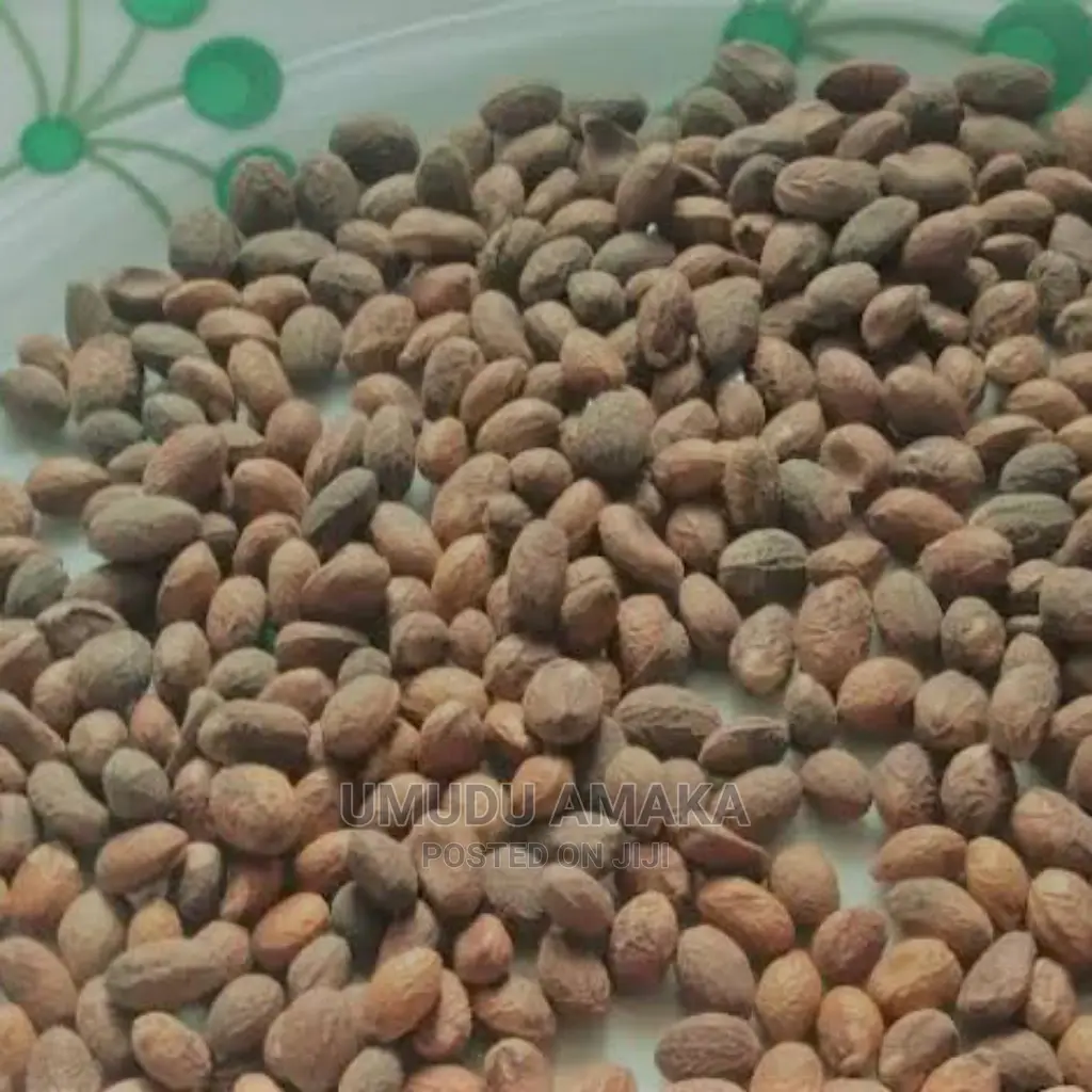 Miracle Seed/Ghana Seed Healthy Seed