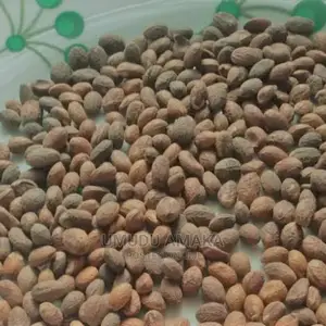 Miracle Seed/Ghana Seed Healthy Seed