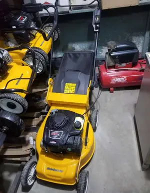 Lawn Mower 6hp