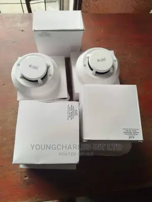 Electric Smoke Detector/ Smoke Alarm