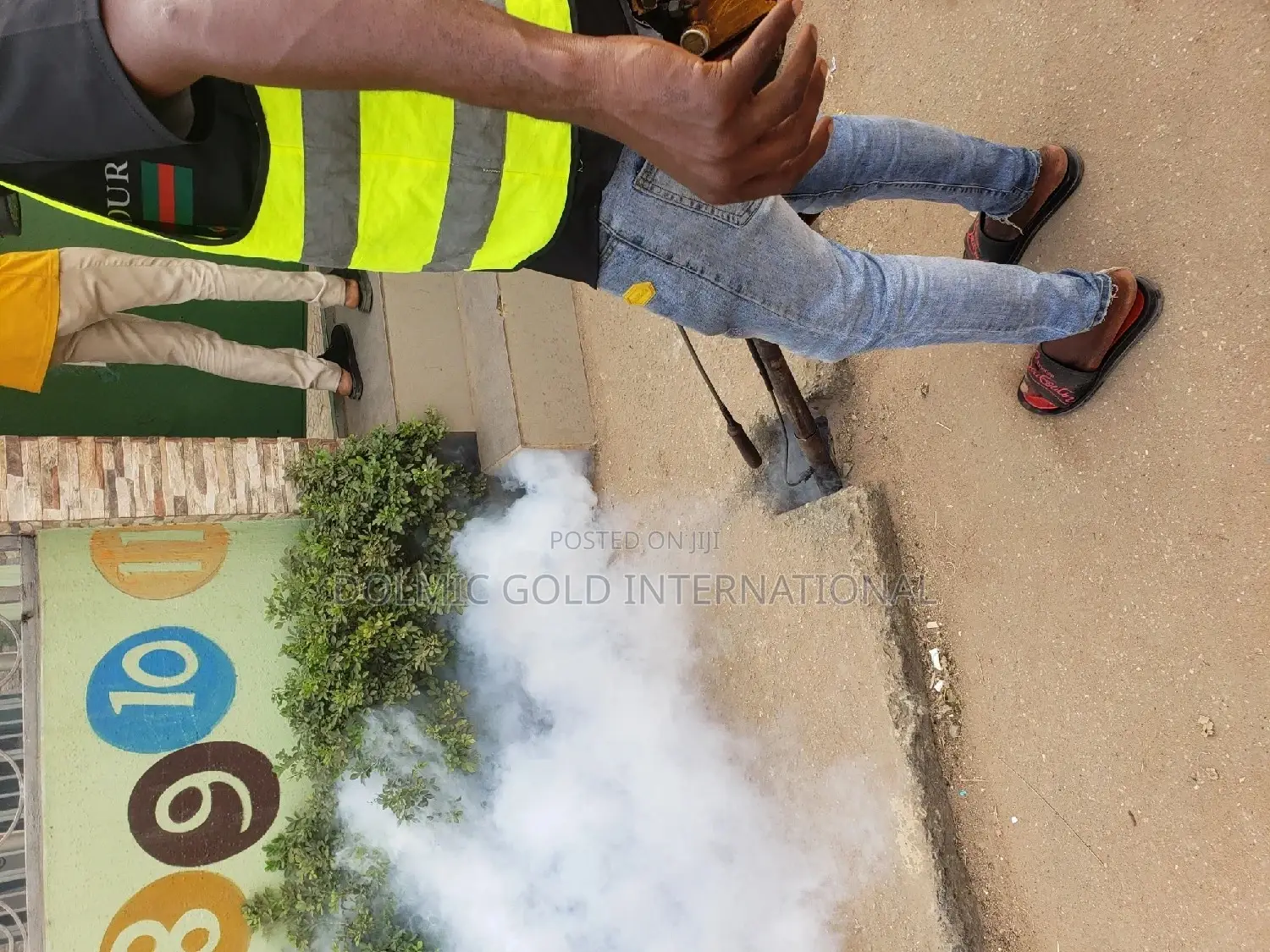 Fumigation By Professional