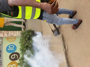 Fumigation By Professional