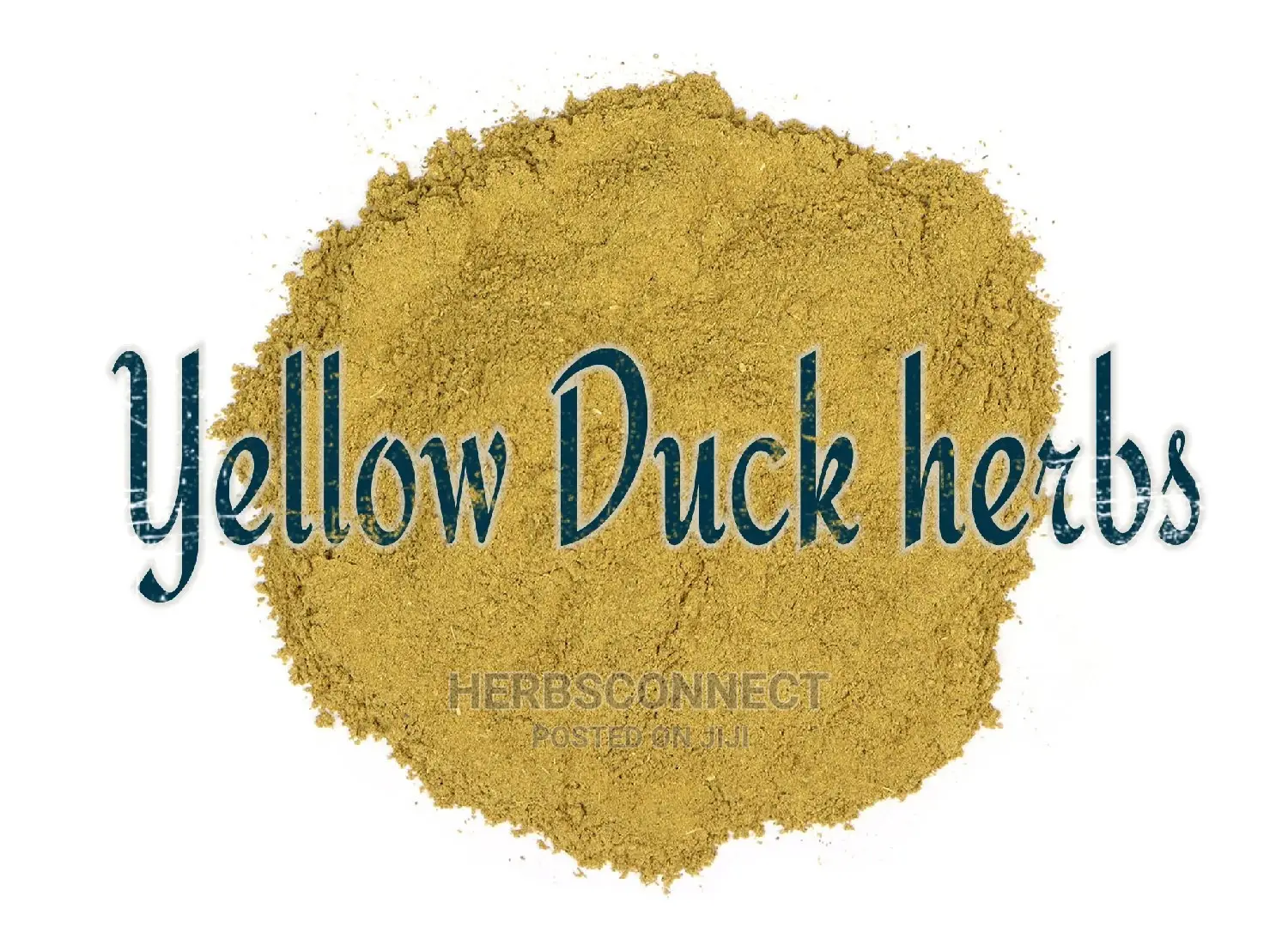 Yellow Duck Root Powder