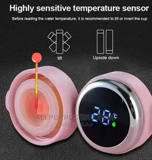 320ml Temperature Bottle