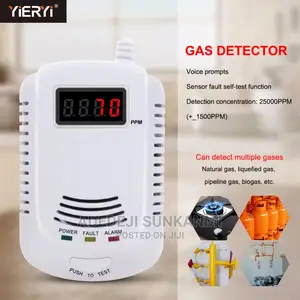 Combustible Gas Detector LPG LNG Coal Natural Gas Leak Alarm