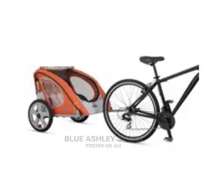 Instep Robin Foldable Bike Trailer, 2 Passengers