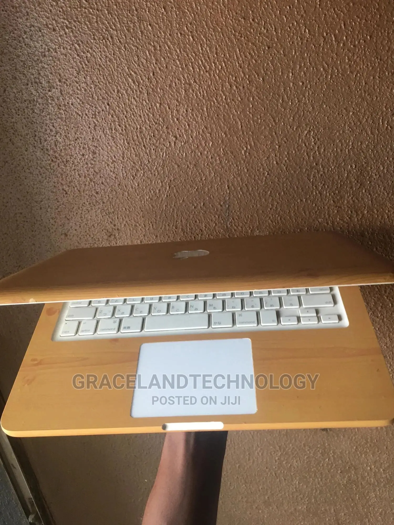 Laptop Apple MacBook 4GB Intel Core 2 Duo HDD 250GB